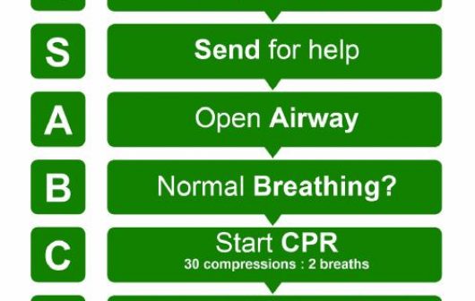 CPR Sign Guideline 8 Flowchart PCG News Update